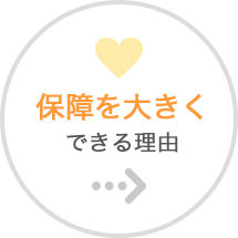 保障を大きくできる理由